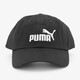 Essentials Logo pet