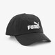 Essentials Logo pet
