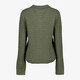 Dames polotrui groen