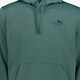 ESS 2 Color Small No. 1 Logo heren hoodie groen