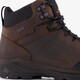 Hoge heren leren wandelschoenen cat. B
