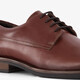 Leren heren veterschoenen bruin