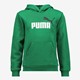 Essentials Big Logo kinder hoodie groen