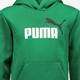 Essentials Big Logo kinder hoodie groen