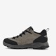 Lage heren wandelschoenen cat. A