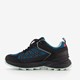 Heren wandelschoenen categorie A zwart