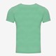 Jongens T-shirt met leeuw groen